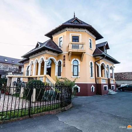 Pensiunea Onix Făgăraş المظهر الخارجي الصورة