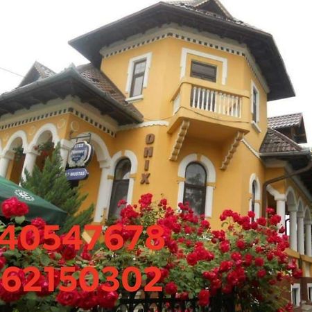 Pensiunea Onix Făgăraş المظهر الخارجي الصورة