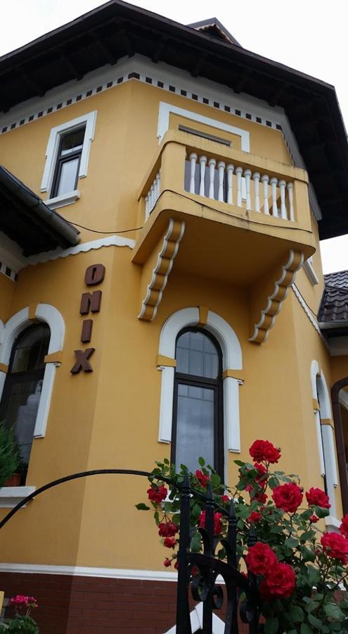 Pensiunea Onix Făgăraş المظهر الخارجي الصورة