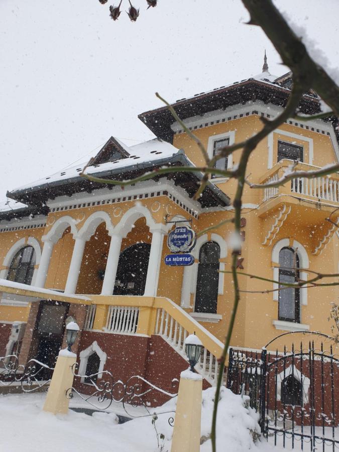 Pensiunea Onix Făgăraş المظهر الخارجي الصورة