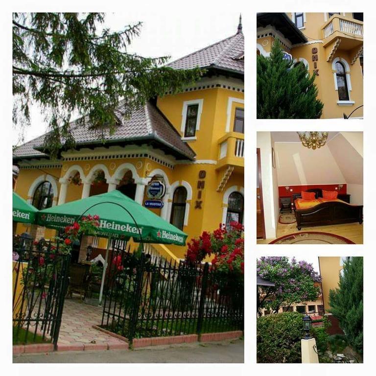 Pensiunea Onix Făgăraş المظهر الخارجي الصورة