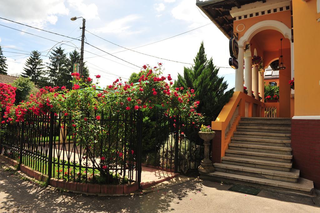 Pensiunea Onix Făgăraş المظهر الخارجي الصورة