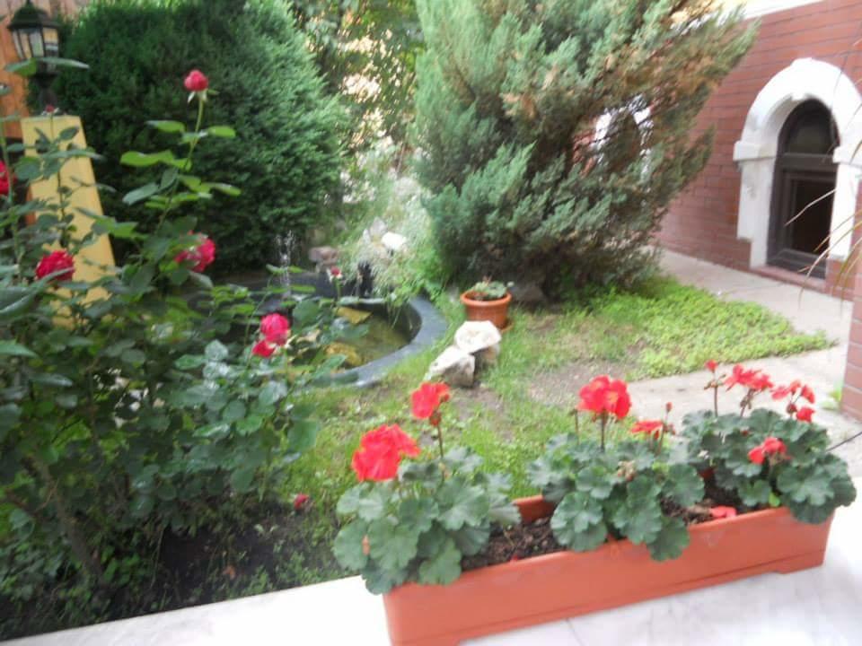 Pensiunea Onix Făgăraş المظهر الخارجي الصورة