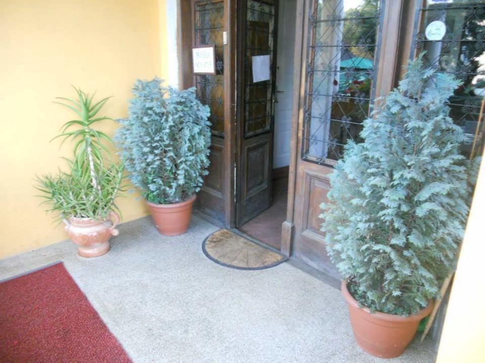 Pensiunea Onix Făgăraş المظهر الخارجي الصورة