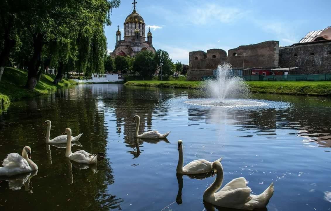 Pensiunea Onix Făgăraş المظهر الخارجي الصورة