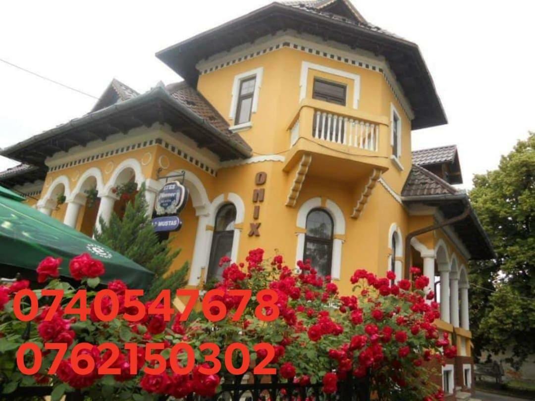 Pensiunea Onix Făgăraş المظهر الخارجي الصورة