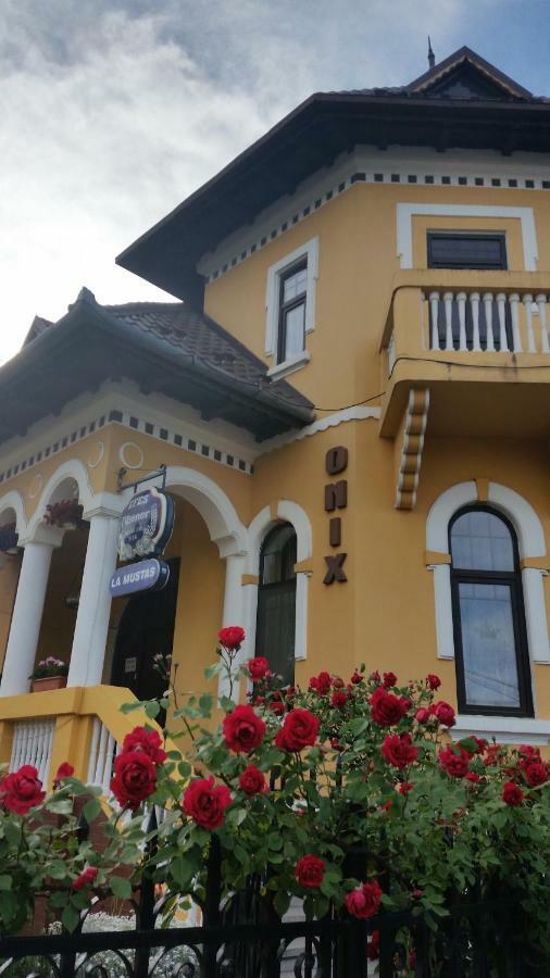 Pensiunea Onix Făgăraş المظهر الخارجي الصورة