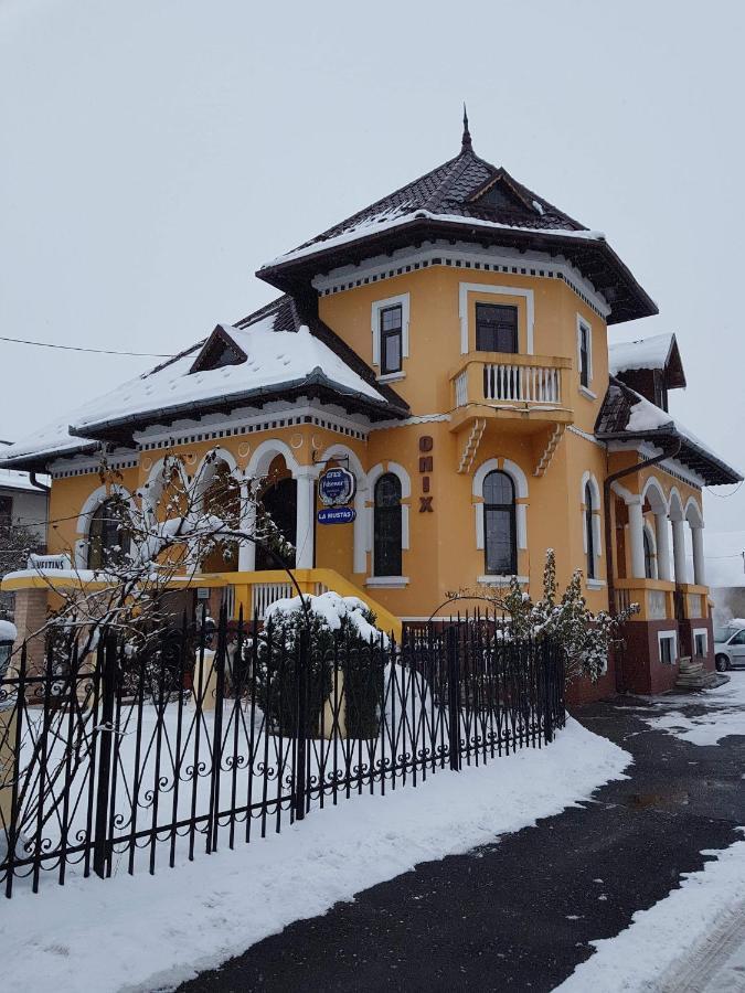 Pensiunea Onix Făgăraş المظهر الخارجي الصورة